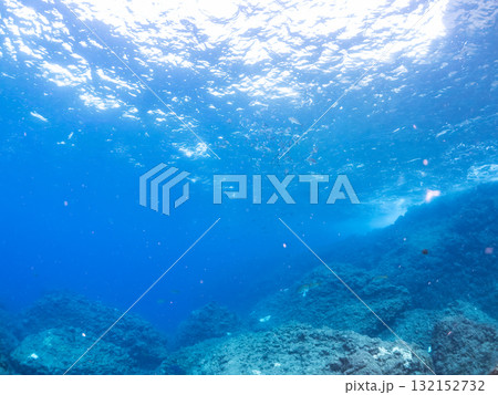 イサキ、メジナ他の群れ。静岡県伊豆半島南伊豆町中木ヒリゾ浜-2025年 132152732