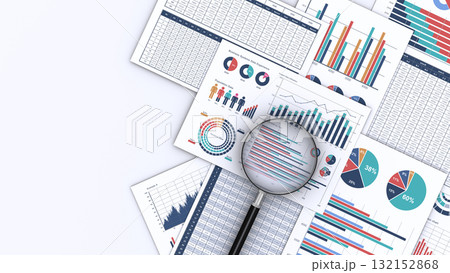 ビジネスデータをプリントした書類と虫メガネ 132152868