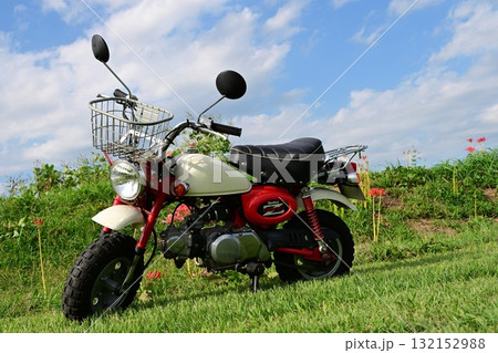 かわいい原付バイクモンキー 132152988