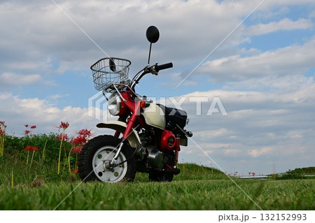 かわいい原付バイクモンキー 132152993