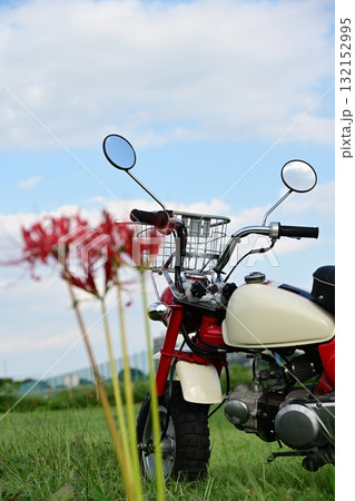 かわいい原付バイクモンキー 132152995