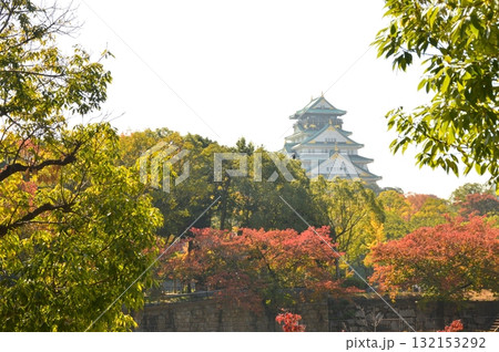 極楽橋付近から見た「大阪城の天守閣」（大阪府大阪市） 132153292