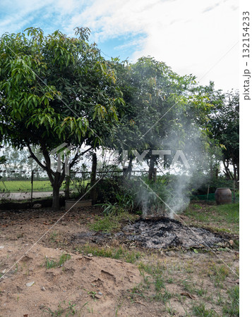 Burnt Leaves and Smoke in Rural Backyard Garden. 132154233