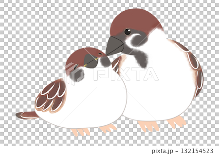 親子鳥:麻雀 親子鳥:麻雀 132154523