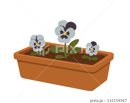 植木鉢に植えられたパンジーの花なイラスト、ガーデニング 植木鉢に植えられたパンジーの花なイラスト、ガーデニング 132154567