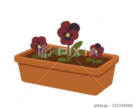植木鉢に植えられたパンジーの花なイラスト、ガーデニング 132154568