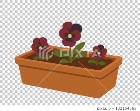 植木鉢に植えられたパンジーの花なイラスト、ガーデニング 132154568