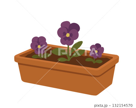 植木鉢に植えられたパンジーの花なイラスト、ガーデニングのイラスト