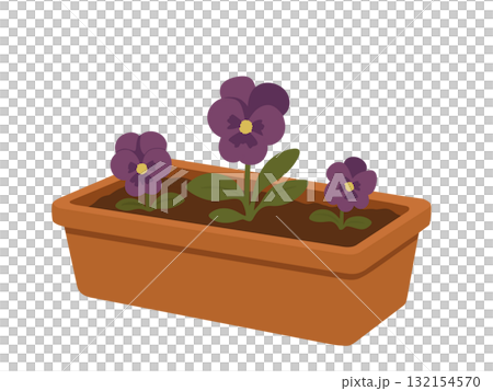 水越智三　pure tomato パンジー　鉢植え　花　イラスト 水越智三 pure tomato パンジー 鉢植え 花 イラスト 【公式通販】