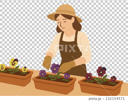 Illustration of pansy flowers planted in a flowerpot, gardening 132154571