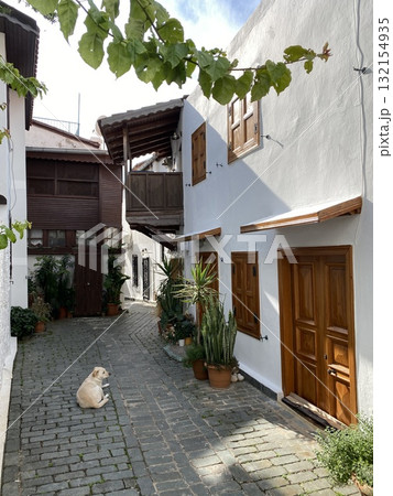 Charming narrow alley with whitewashed walls, wooden doors, potted plants, and cat in daylight 132154935