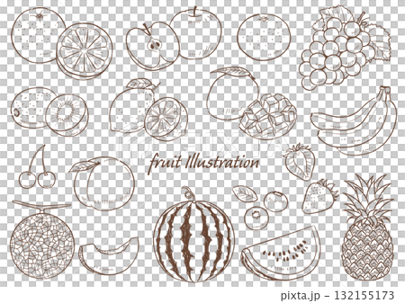 手繪水果線描集_向量插圖 132155173