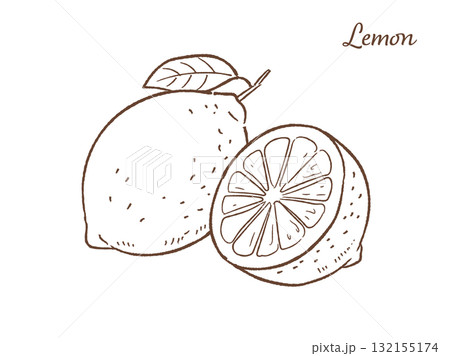 レモンの手描きベクターイラスト 132155174