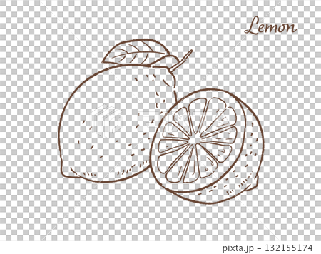 レモンの手描きベクターイラスト 132155174
