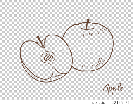 Apple hand drawn vector illustration 132155176