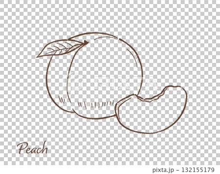 桃子的手工繪製的矢量圖 132155179