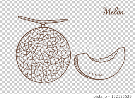 Hand drawn vector illustration of melon Hand drawn vector illustration of melon 132155529