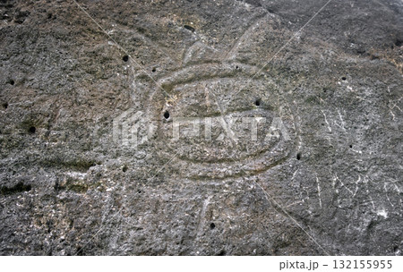 Ancient turtle petroglyph at Marae Manunu on Huahine island, French Polynesia 132155955