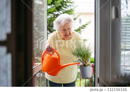 Elderly woman watering potted herbs on balcony. Elderly woman watering potted herbs on balcony. 132156188