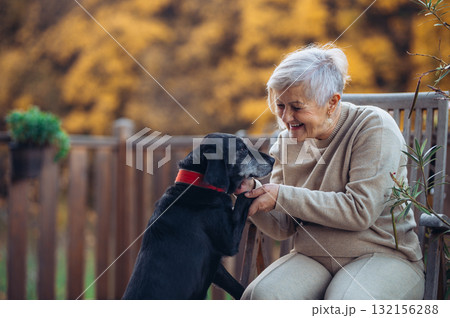 Lovely older woman playing with her doc on terrace during warm autumn day. Lovely older woman playing with her doc on terrace during warm autumn day. 132156288