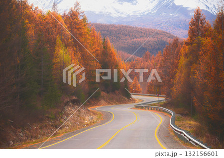 A scenic highway meanders through a stunning forest filled with autumn colors, set against the backdrop of the majestic Altai mountains, inviting travelers to explore nature. 132156601