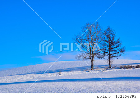 冬 美瑛町 冬 美瑛町 132156895