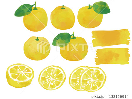 水彩風 柚子のイラストセット2（葉っぱ付きあり） 132156914