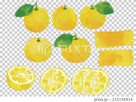 水彩風柚子插圖集2（含葉） 132156914
