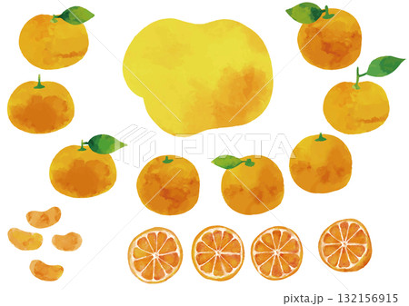 水彩風 温州みかんのイラストセット（葉っぱ付きあり） 132156915