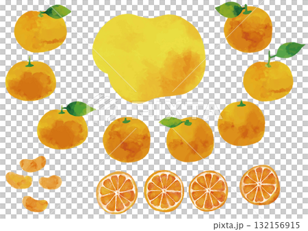 水彩風 温州みかんのイラストセット（葉っぱ付きあり） 132156915