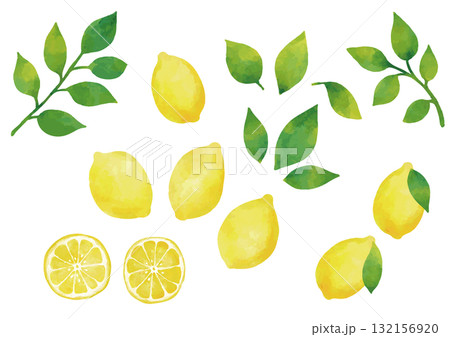 水彩風 レモンのイラストセット（葉っぱ付きあり） 132156920