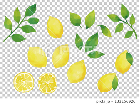水彩風 レモンのイラストセット（葉っぱ付きあり） 132156920