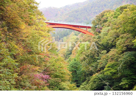 小安峡大噴湯の景色 132156960