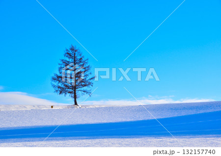 冬　美瑛町　 132157740