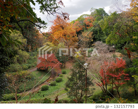 京都府京都市・伏見北堀公園 132157793