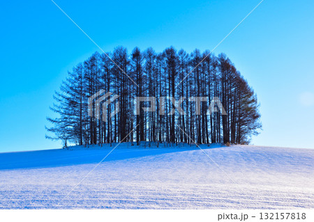 冬　美瑛　マイルドセブンの丘 132157818