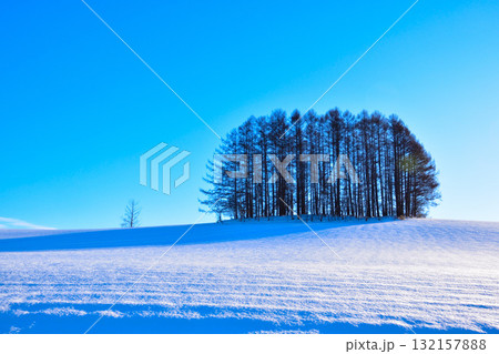 冬　美瑛　マイルドセブンの丘 132157888