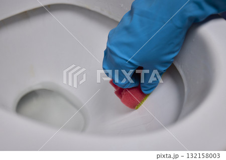 Cleaning the Toilet Essential Sanitation Practices for Maintaining a Healthy Home Environment Cleaning the Toilet Essential Sanitation Practices for Maintaining a Healthy Home Environment 132158003