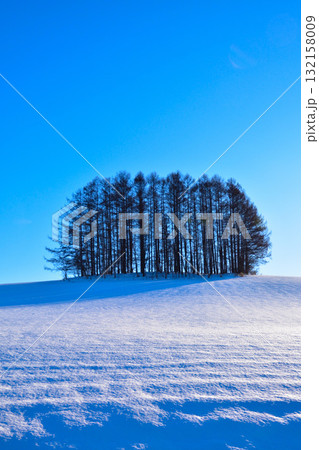 冬 美瑛 マイルドセブンの丘 冬 美瑛 マイルドセブンの丘 132158009