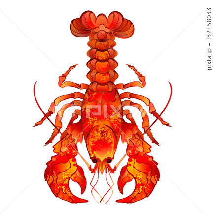 Red Boiled Lobster 132158033