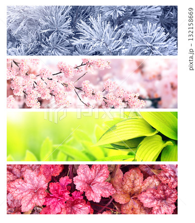 Set of horizontal nature banners. Four season of year. Each one features scene of nature, from the gentle snowfall of winter to the vibrant leaves of summer. Perfect for showcasing changing seasons Set of horizontal nature banners. Four season of year. Each one features scene of nature, from the gentle snowfall of winter to the vibrant leaves of summer. Perfect for showcasing changing seasons 132158669