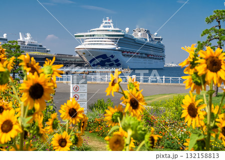 《神奈川県》夏の山下公園・ひまわり 132158813