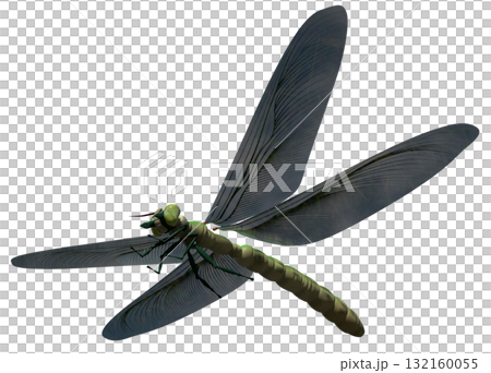 大脈 大脈 132160055