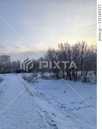 Winter Wonderland Snowy Path Through Trees at Sunset Leading to Urban Building Backdrop Winter Wonderland Snowy Path Through Trees at Sunset Leading to Urban Building Backdrop 132160377