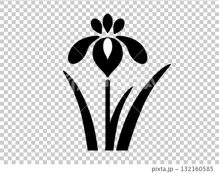 虹膜圖示單色 虹膜圖示單色 132160585