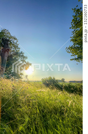 A Serene Sunrise Above a Beautiful Lush Green Field Filled with Life and Natures Remarkable Beauty 132160733