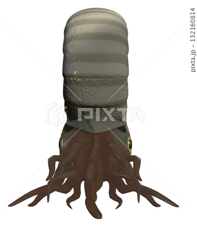 アンモナイト 132160814