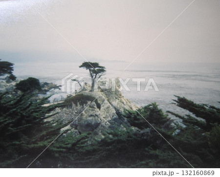 17マイル・ドライブから見た一本糸杉（モントレー海岸） 132160869