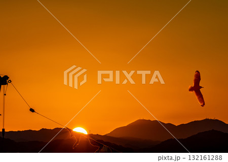 夕日 132161288