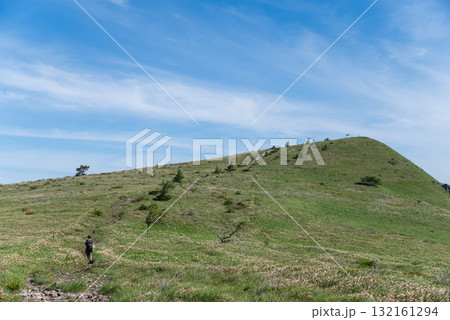 爽やかな高原　霧ヶ峰高原 132161294